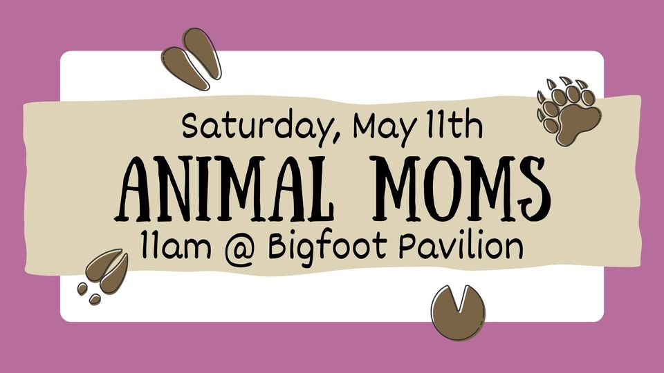 Animal Moms @ Bigfoot Pavilion