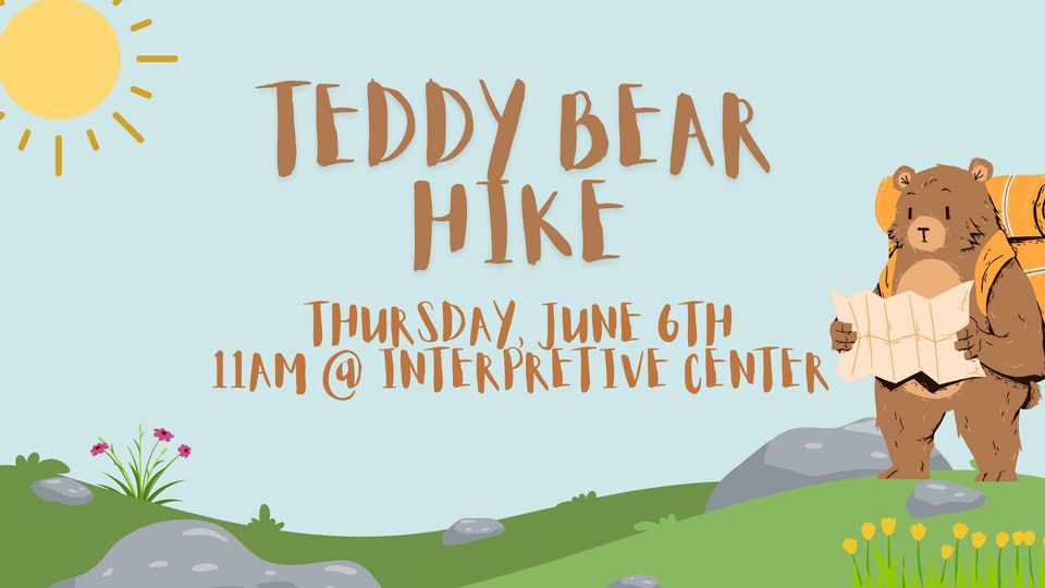 Teddy Bear Hike