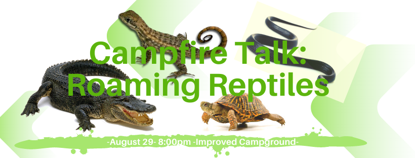 CSP Campfire Talk: Roaming Reptiles