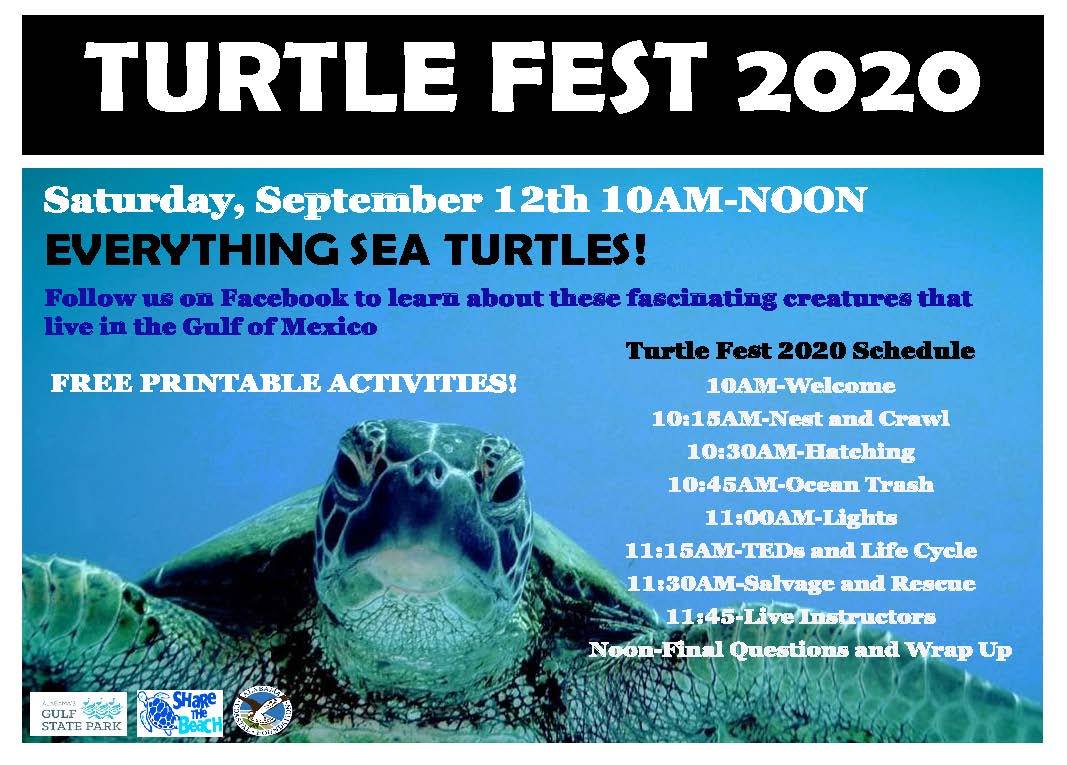Gulf State Park Turtle Fest