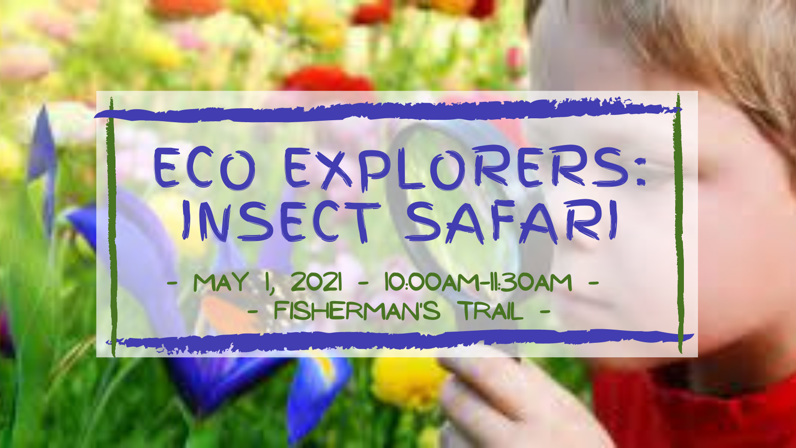 CSP Eco Explorers: Insect Safari