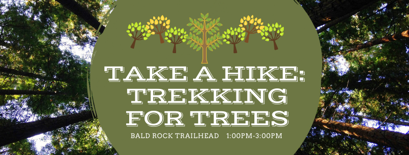Take a Hike: Trekking for Trees