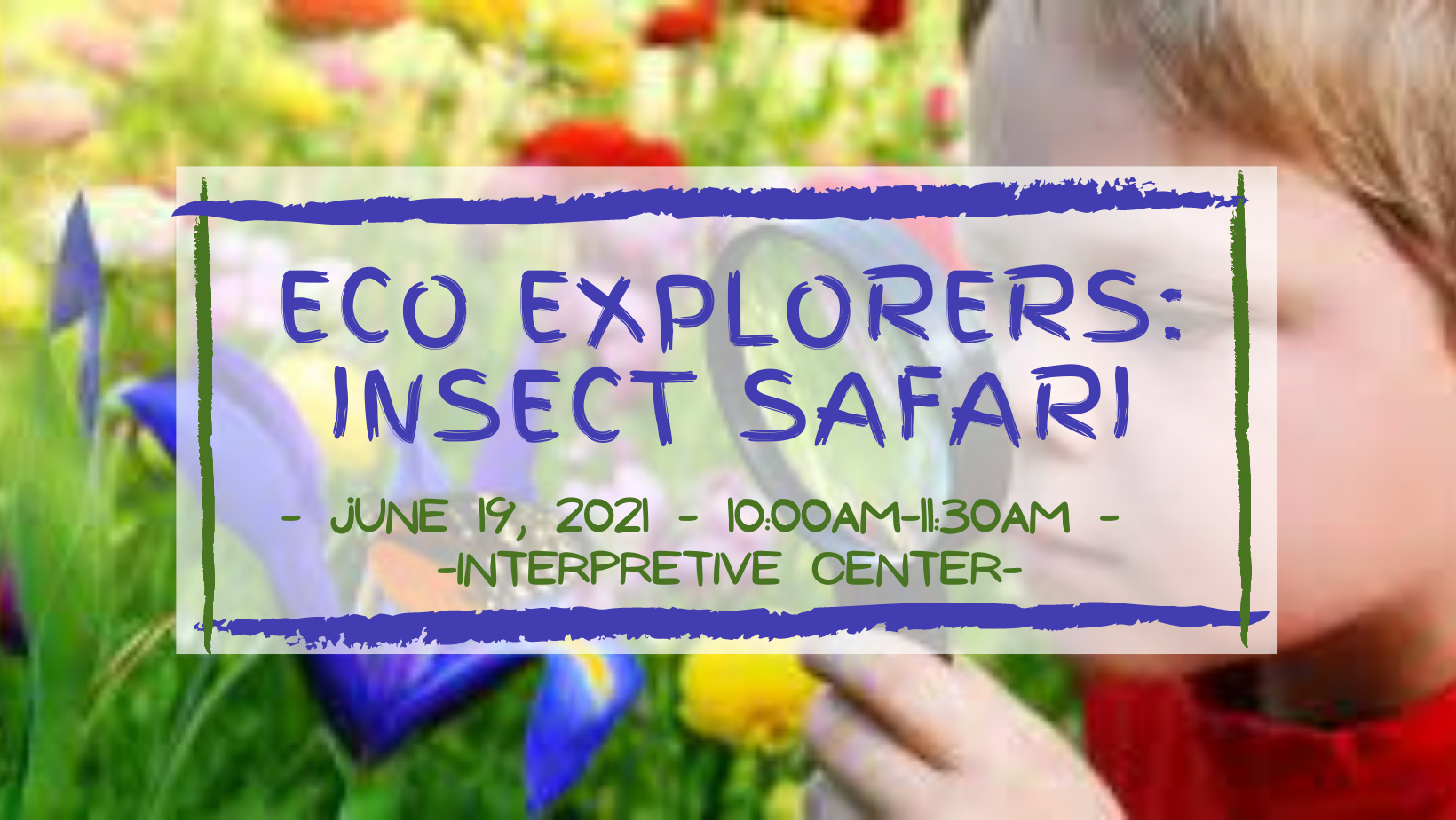 CSP June  Eco Explorers: Insect Safari