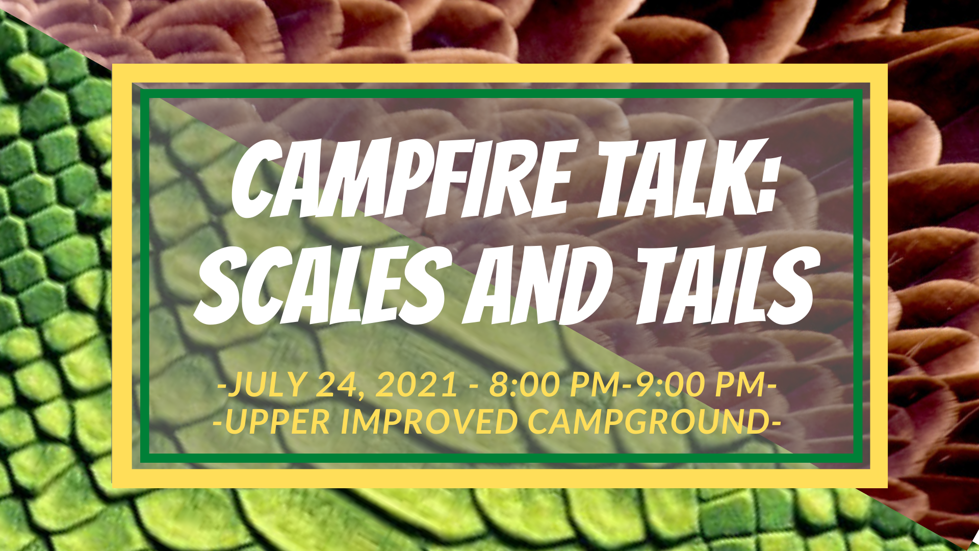 CSP Campfire Talk: Scales and Tails Saturday