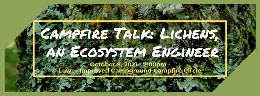 CSP 2021 Campfire Talk: Lichens, an Ecosystem Engineer