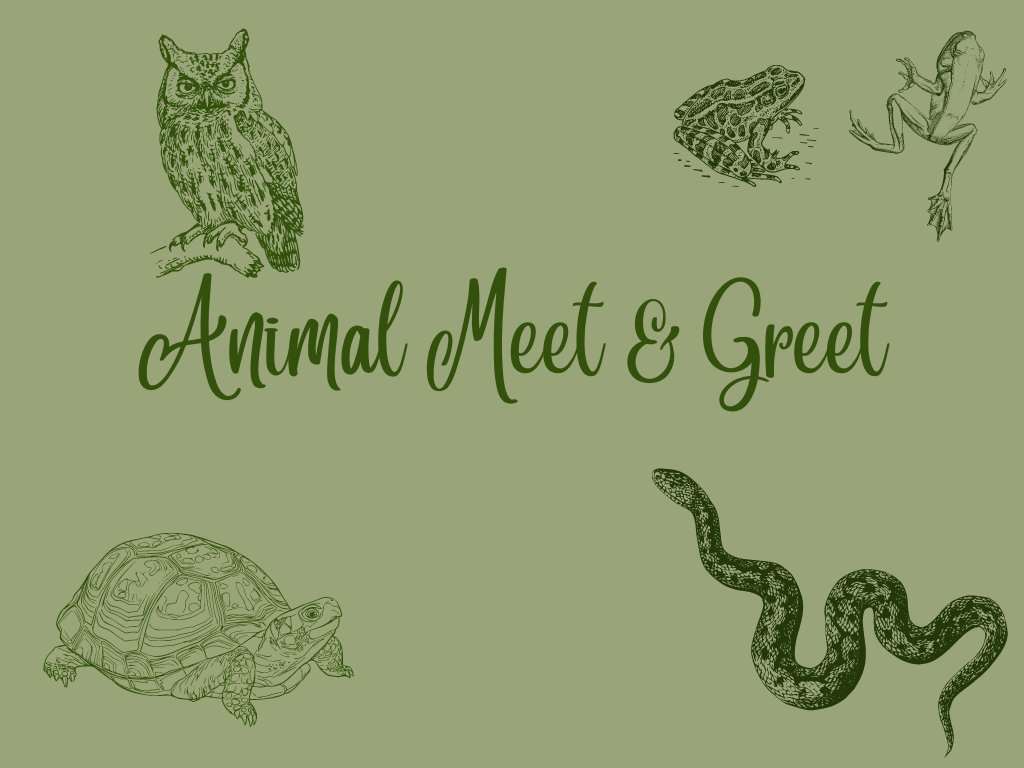 Animal Ambassador Meet and Greet Program at Gulf State Park