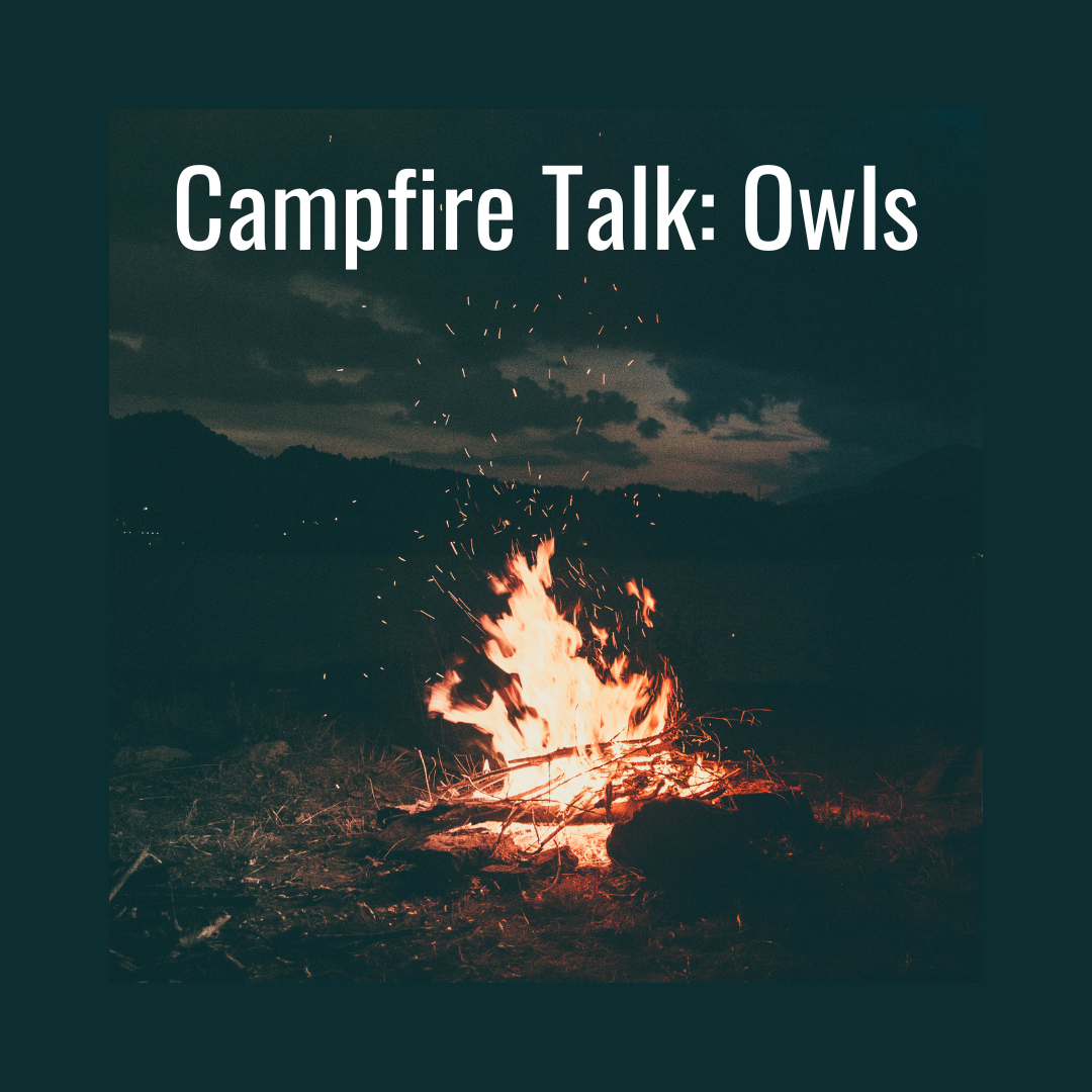 lgsp campfire talk