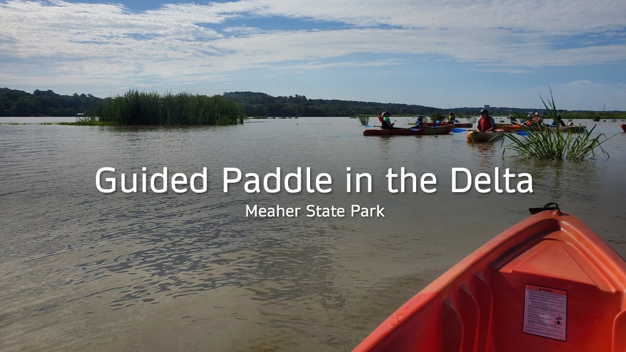 Guided Paddle in the Delta MSP