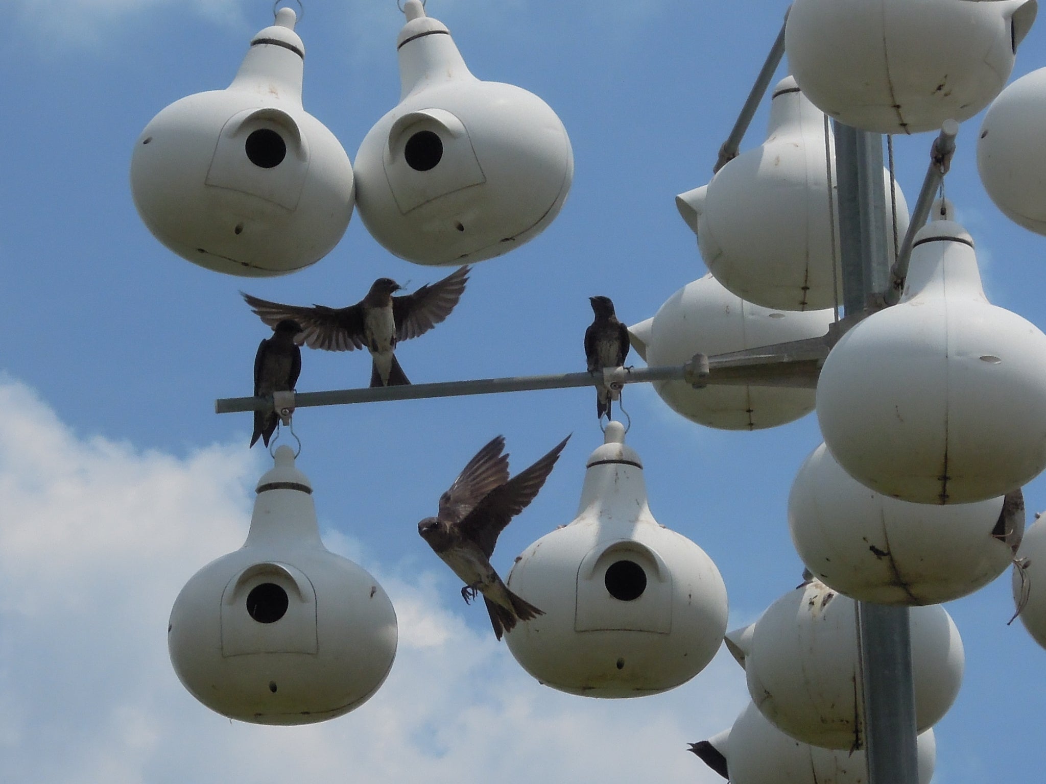 >From Media Library>From Media Library>From Media Library>From Media Library>From Media Library>From Media Library>From Media Library>From Media Library>From Media Library>From Media Library>From Media Library>From Media Library>From Media Library>From Media Library>From Media Library>From Media Library>From Media Library>From Media Library>From Media Library>From Media Library>From Media Library>From Media Library>From Media Library>From Media Library>From Media Library>From Media Library>From Media Library>From Media Library>From Media Library>From Media Library>From Media Library>From Media Library>From Media Library>From Media Library>From Media Library>From Media Library>From Media Library>From Media Library>From Media Library>From Media Library>From Media Library>From Media Library>From Media Library>From Media Library>From Media Library>From Media Library>From Media Library>From Media Library>From Media Library>From Media Library>From Media Library>From Media Library>From Media Library>From Media Library>From Media Library>From Media Library>From Media Library>From Media Library>From Media Library>From Media Library>From Media Library>From Media Library