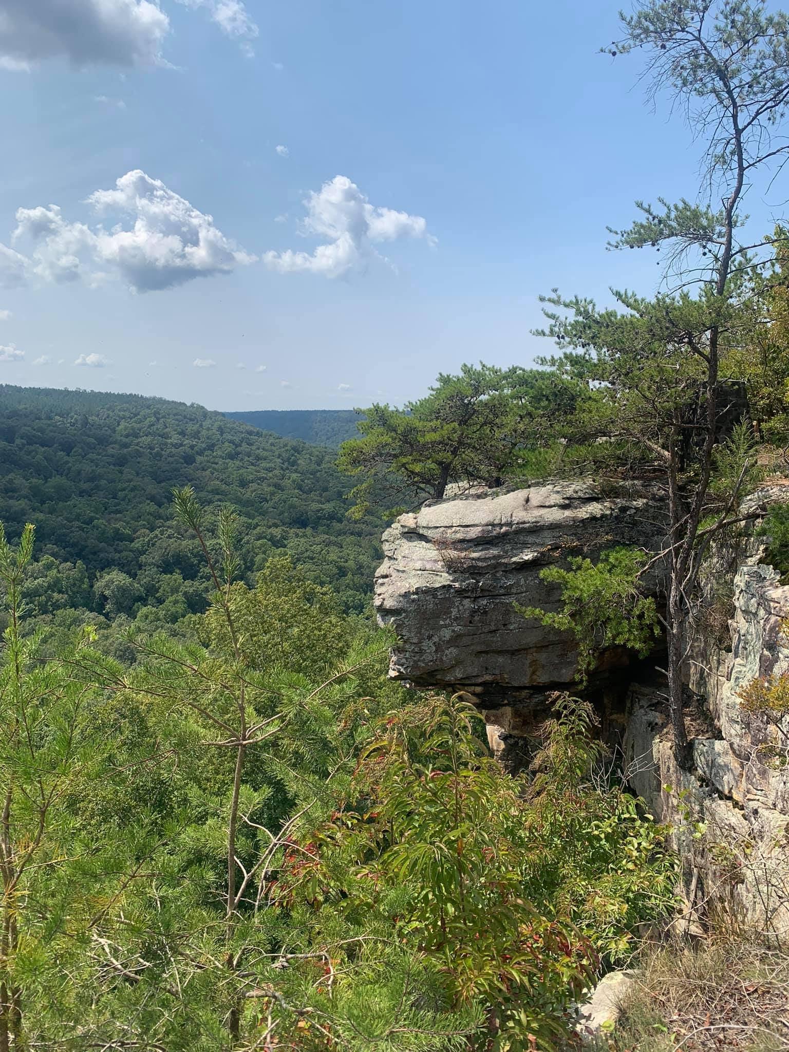 Sunny overlook at Buck's Pocket State Park
