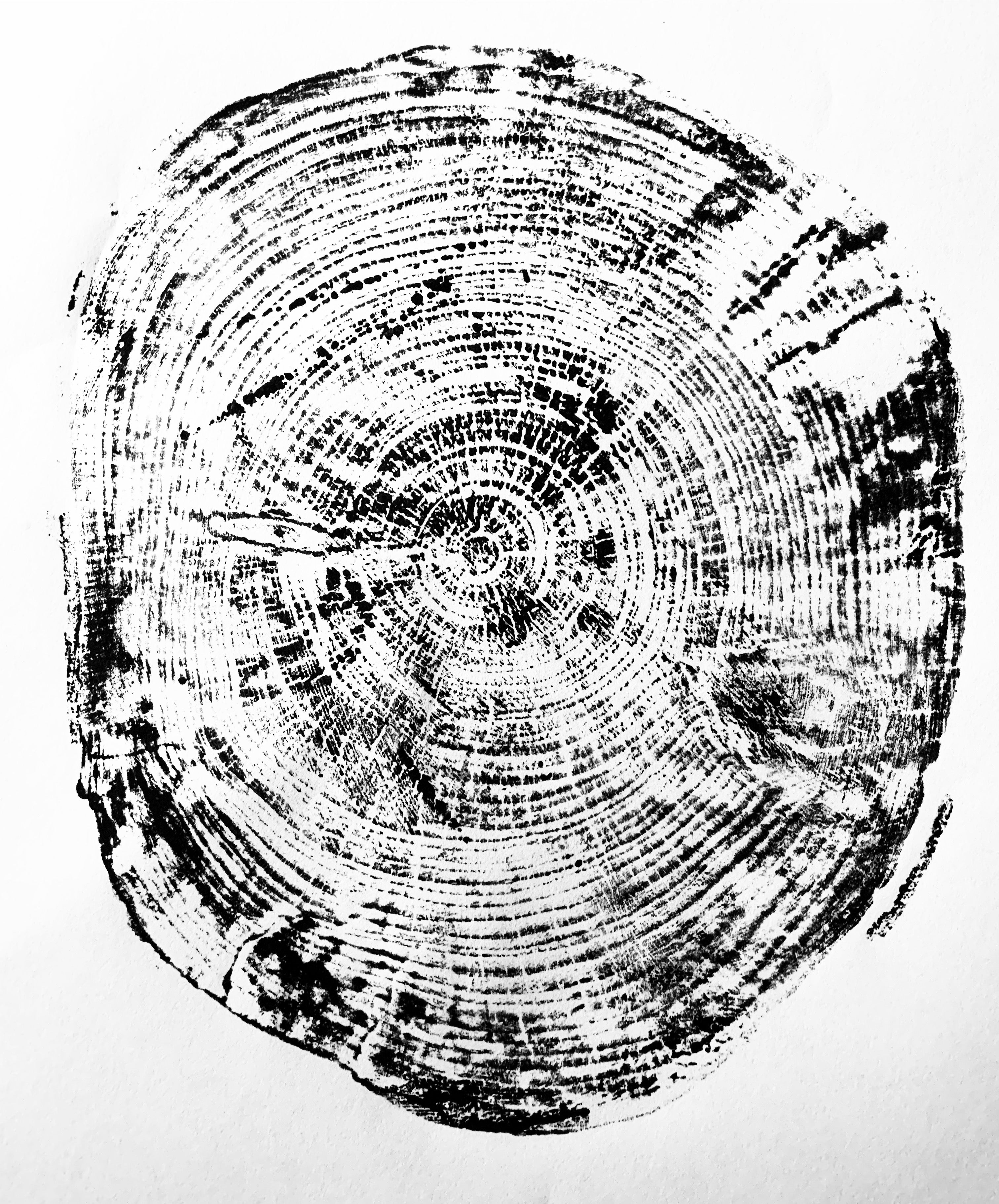 Tree Ring Printing: Telling Nature's Story | Alapark