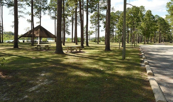 Lakepoint State Park Picnic