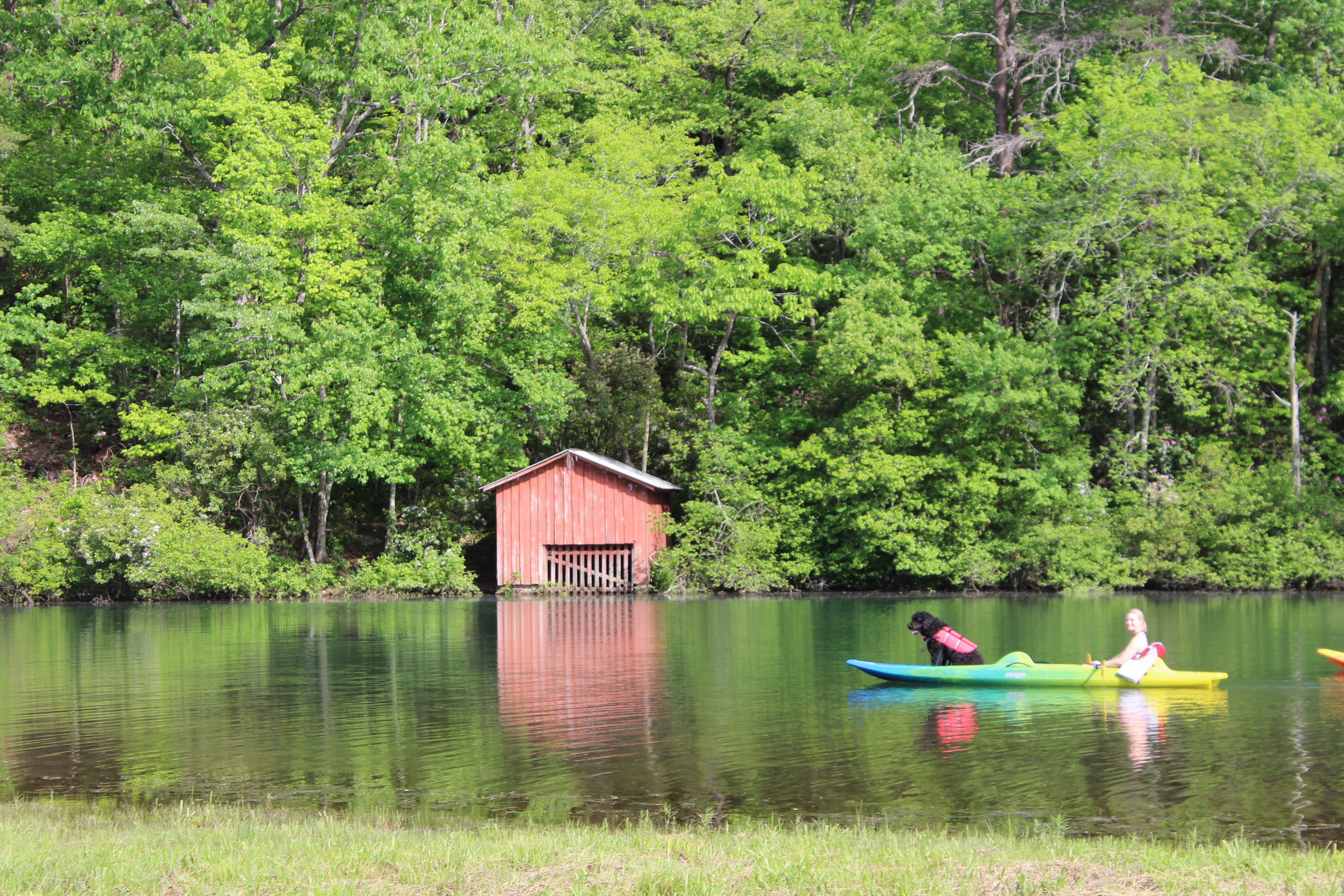Kayak Little River Red Boat house and Dog