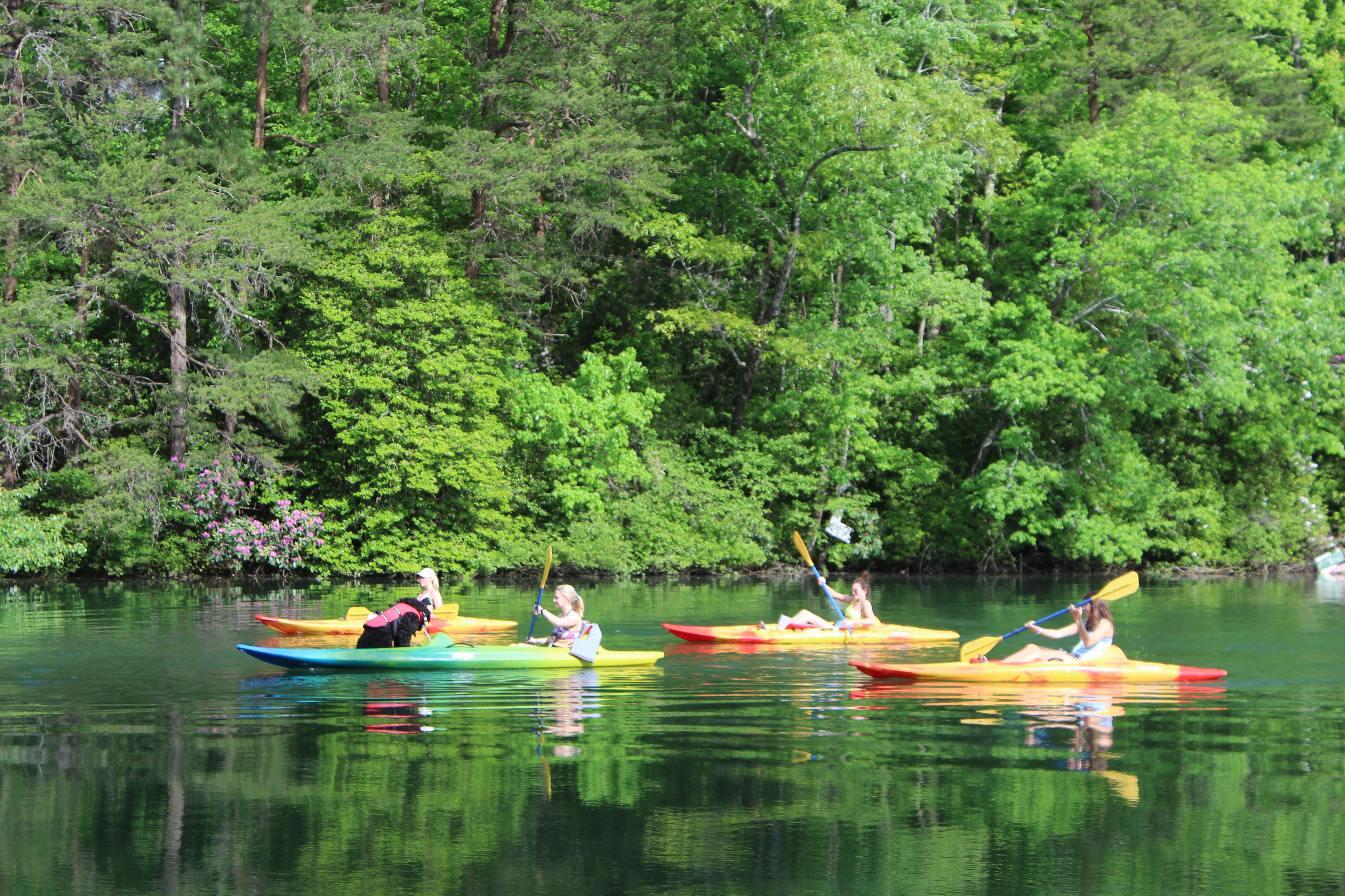 Kayak Little River Sit on top and Tandem