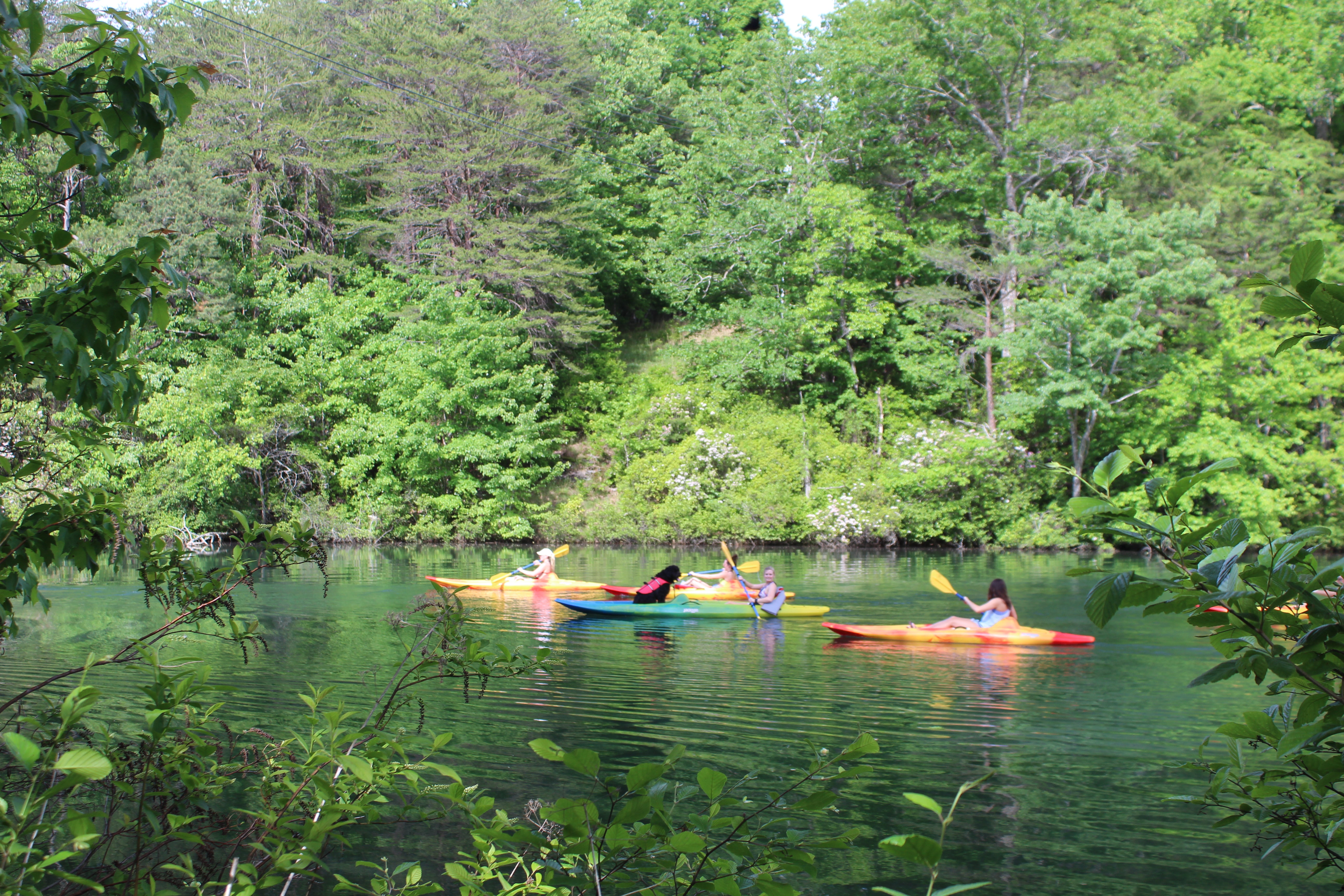 Kayak Little River Wildflowers