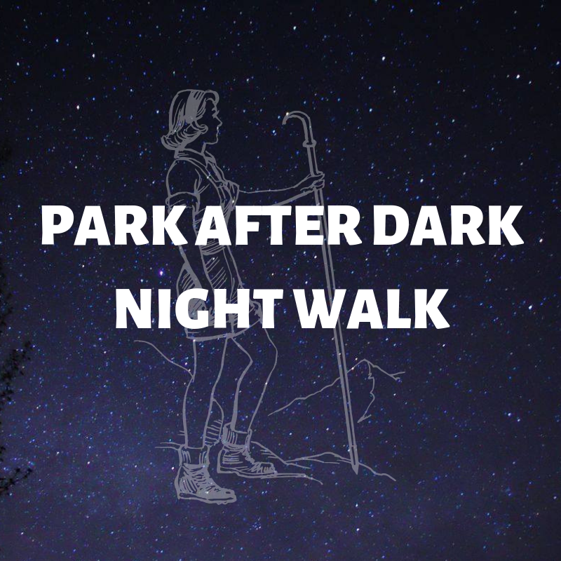 Park after dark night walk