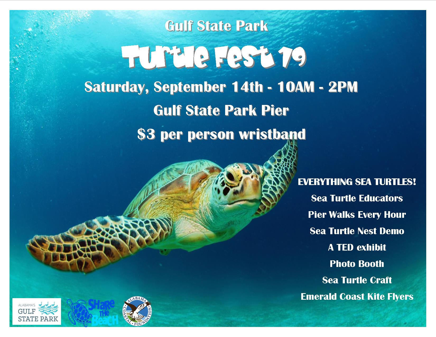 Turtle Fest 2019 Info