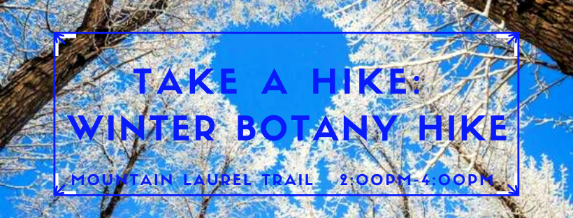 Take A Hike: Winter Botany Hike