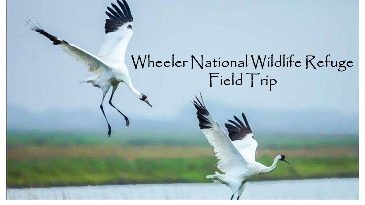 wheeler
