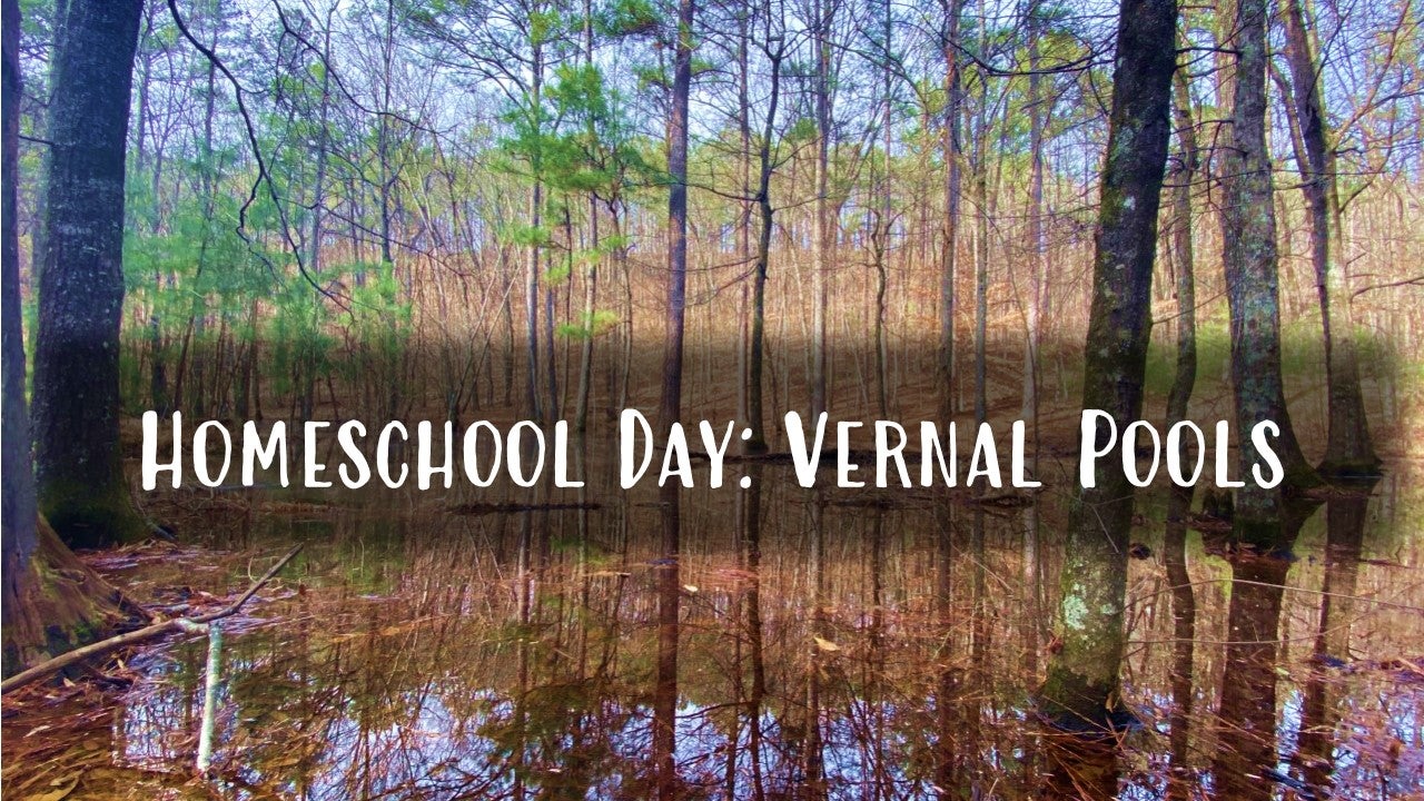 homeschool vernal pools