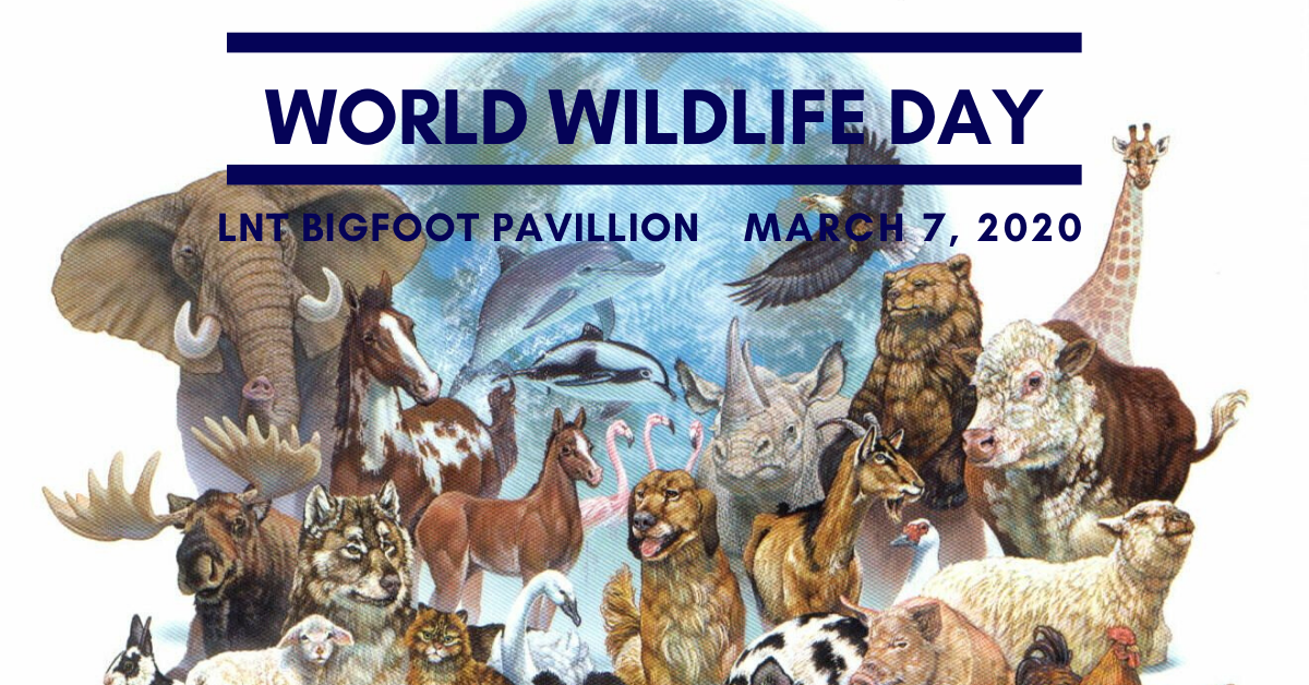 CSP World Wildlife Day
