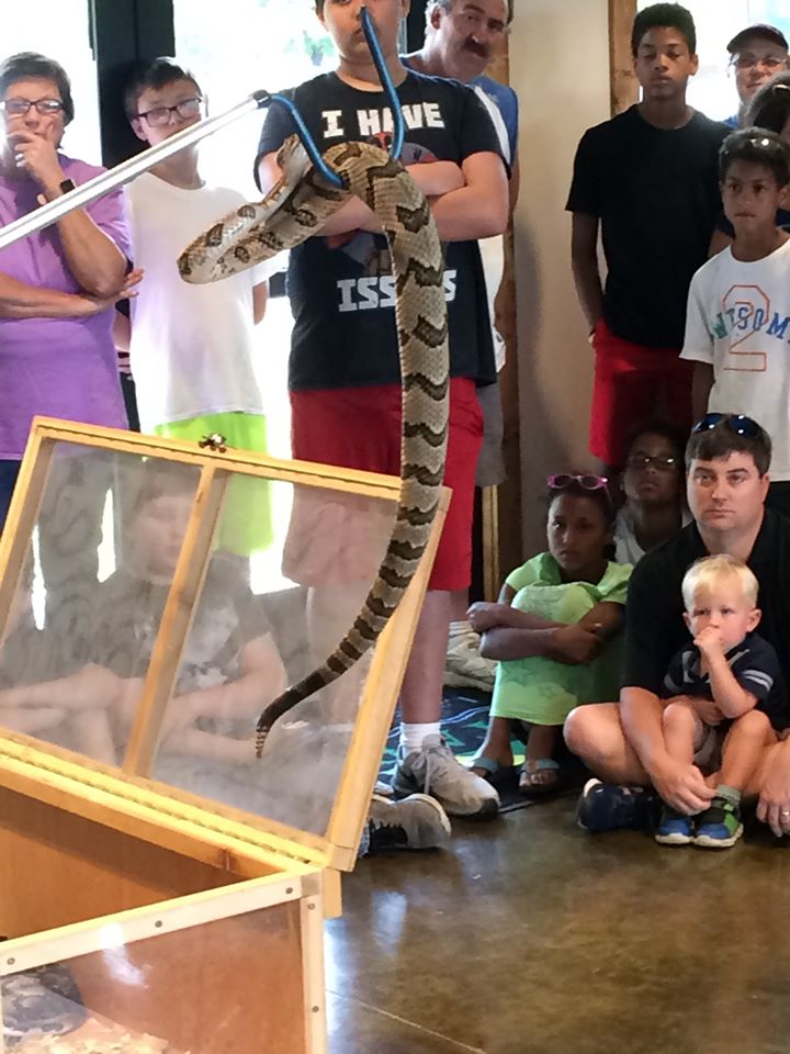 Snake show at LGSP 