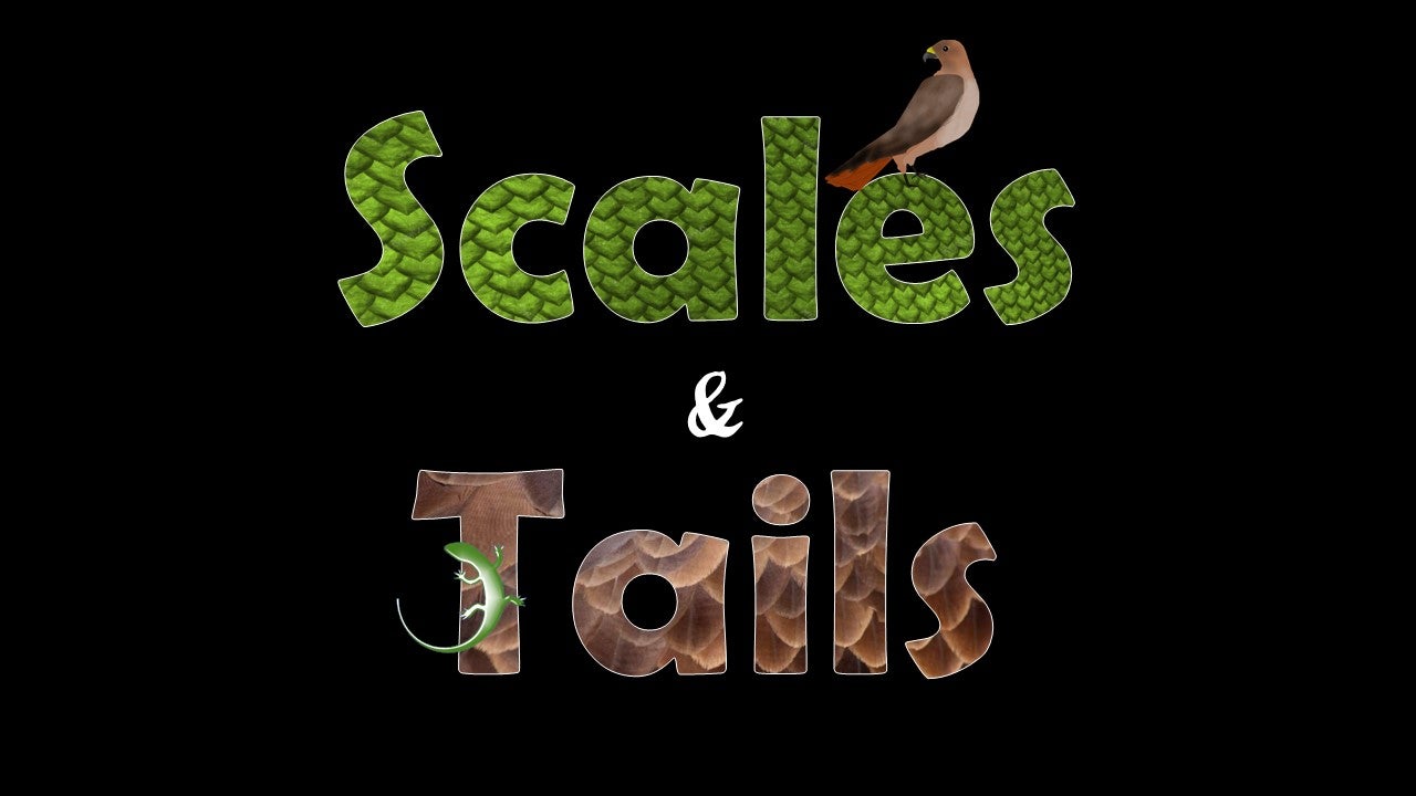 scales and tails