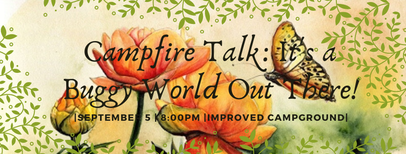 Campfire Talk: It's a Buggy World Out There!