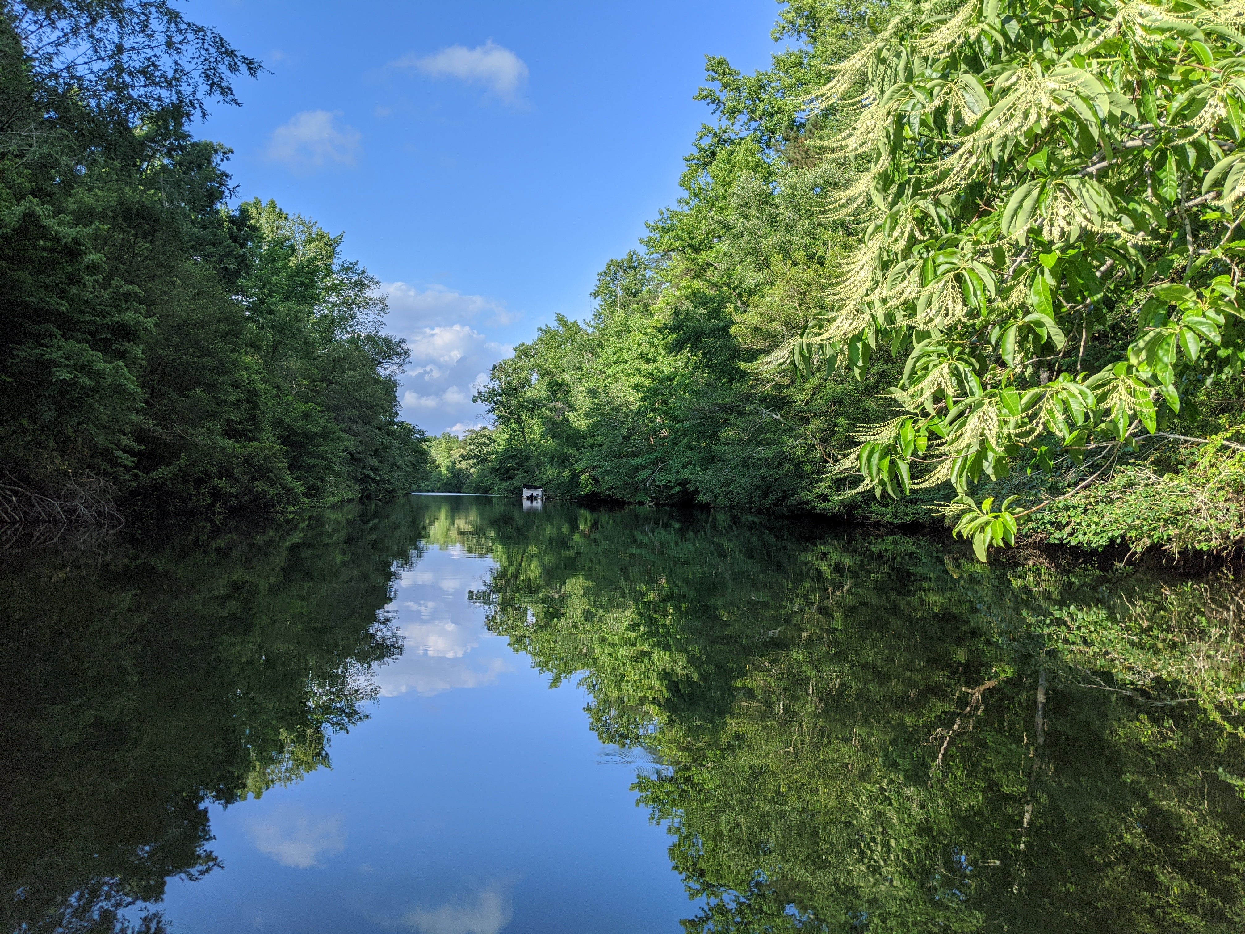 DSP Little River Summer