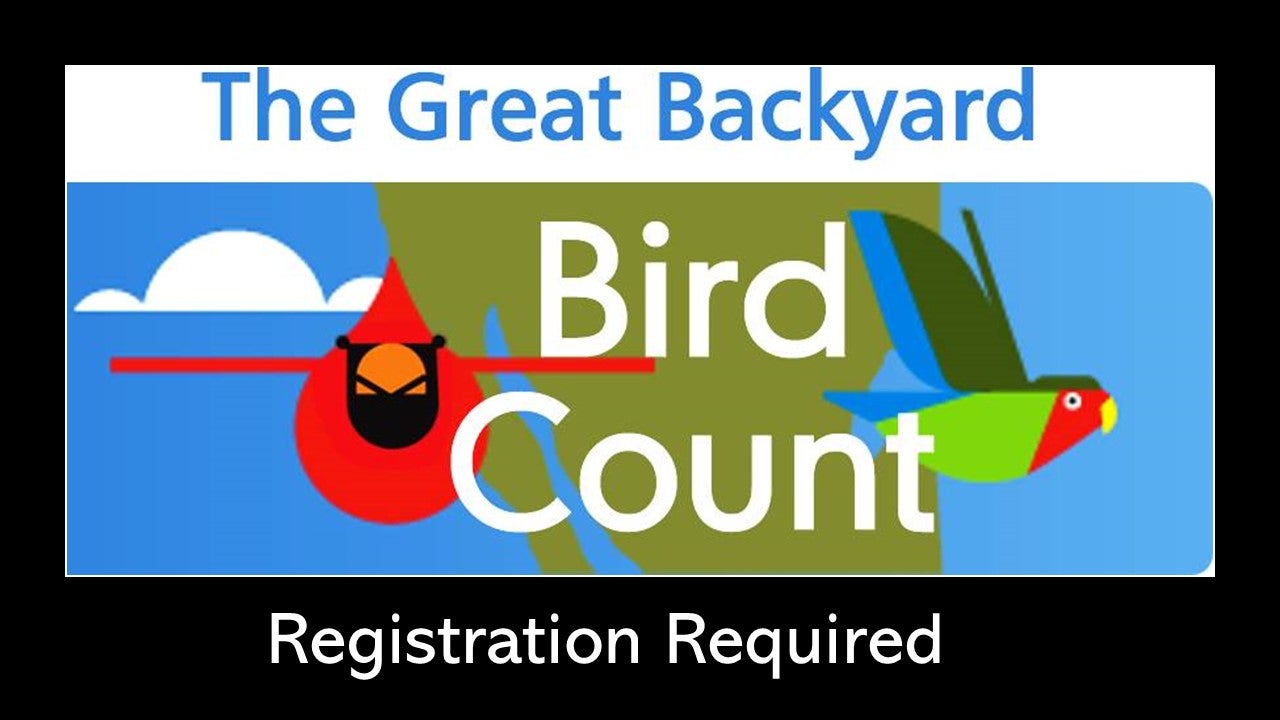 The Great Backyard Bird Count 2021 | Alapark