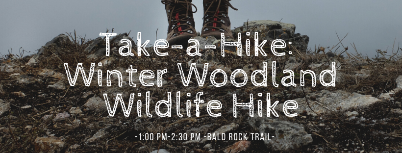 Take a Hike: Winter Woodland Wildlife Hike Bald Rock