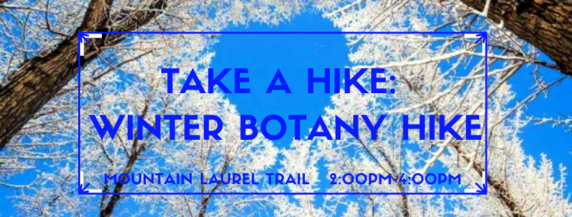 Take A Hike: Winter Botany Hike Fisherman's Trail