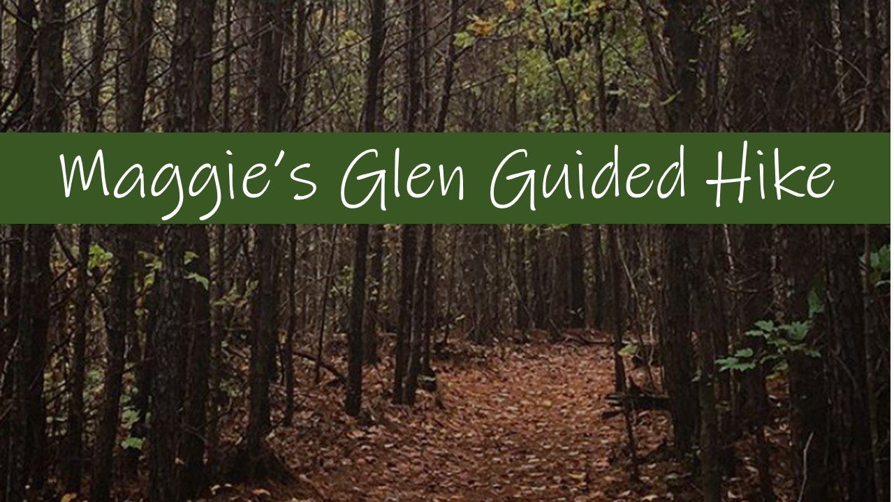 Maggies glen