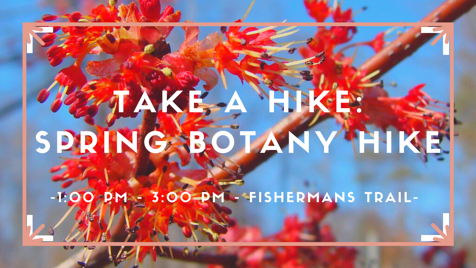 CSP Take A Hike: Spring Botany Hike