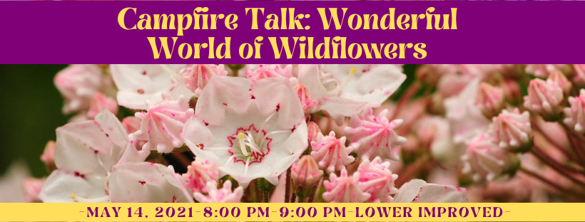 Campfire Talk: Wonderful World of Wildflowers