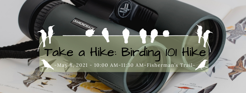 Eco Explorers: Beginner Birding 101