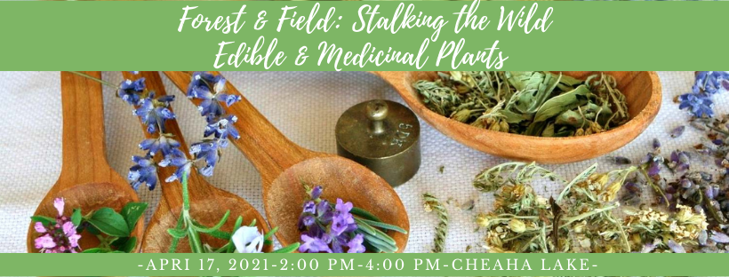 CSP Forest & Field: Stalking the Wild (Med/Ed Plants)