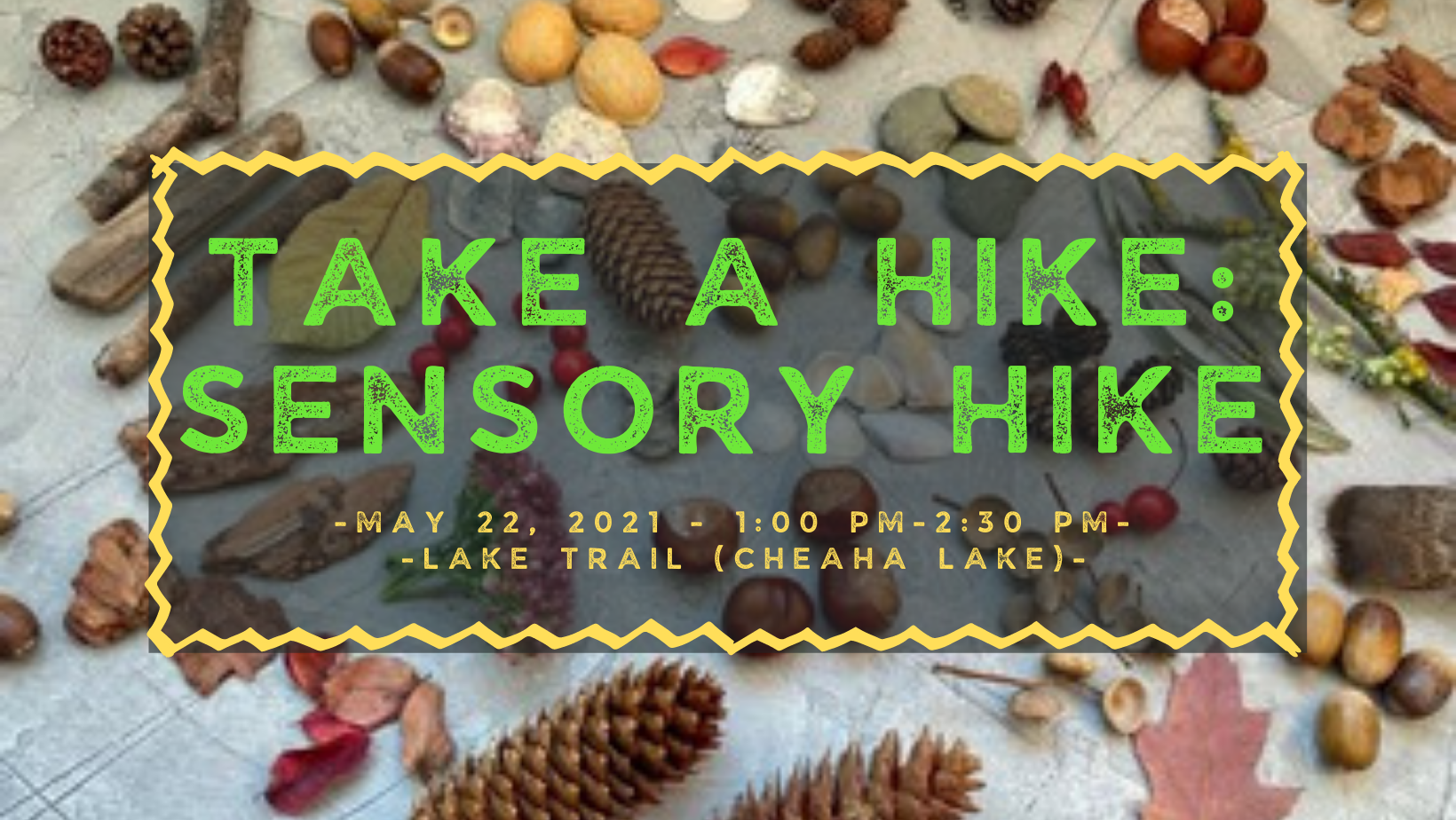 Take A Hike: Sensory Hike