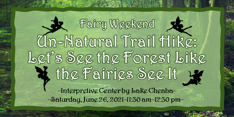 Un-Natural Trail Hike: Let’s See the Forest Like the Fairies See It