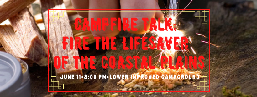 CSP Campfire Talk: Fire Ecology