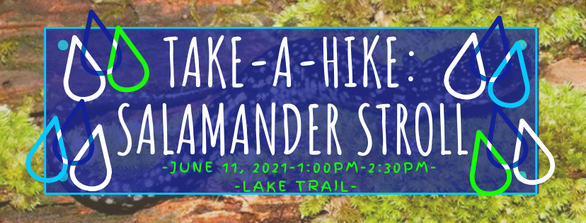 CSP June Take a Hike: Salamander Stroll
