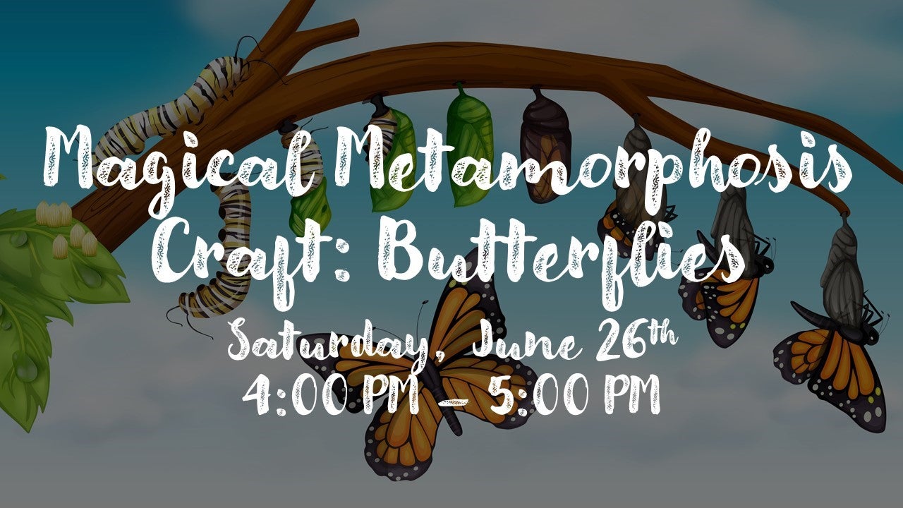 Magical Metamorphosis Craft: Butterflies