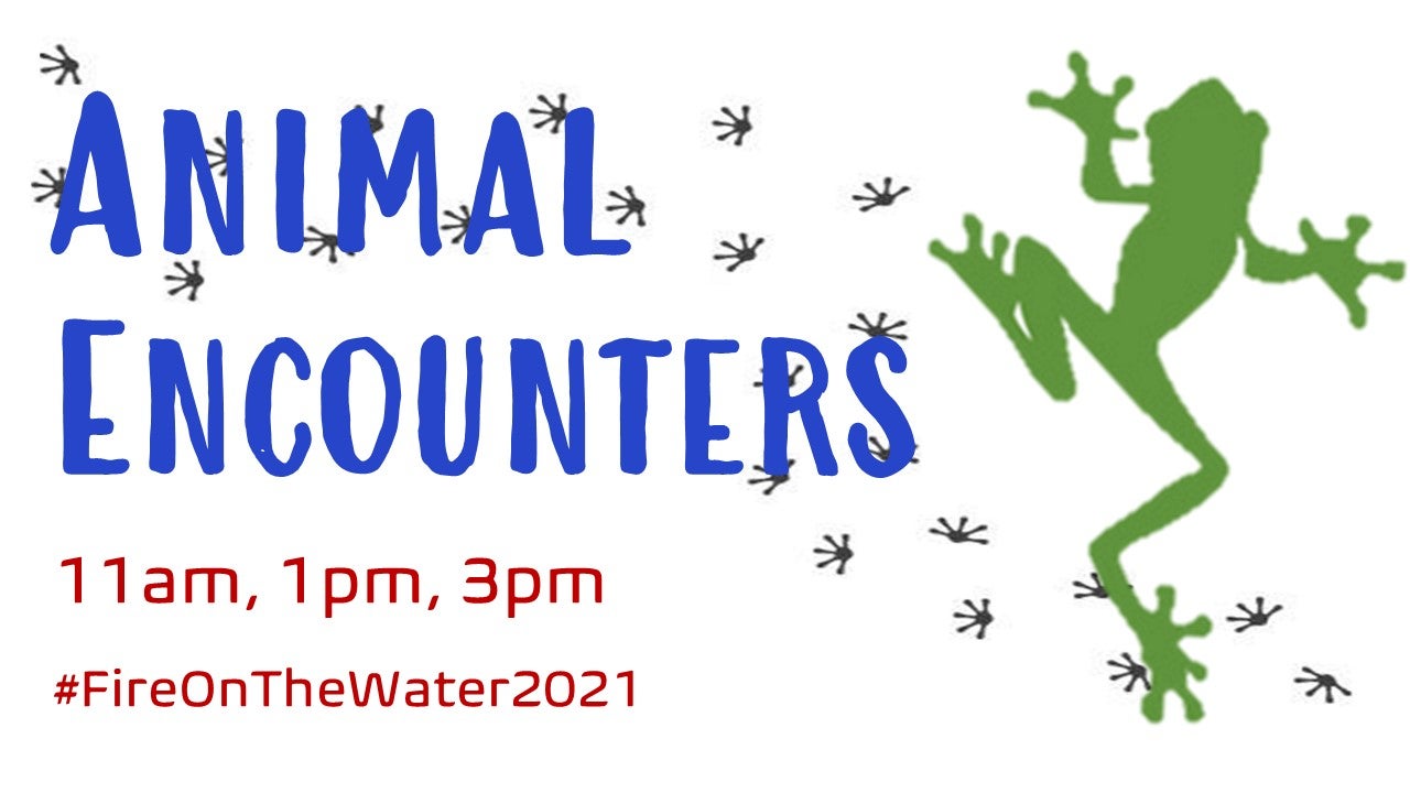 animal encounters 2021