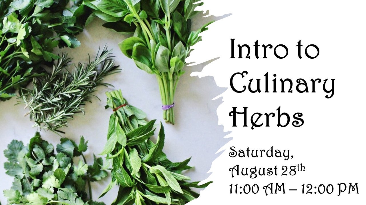 Intro to Culinary Herbs