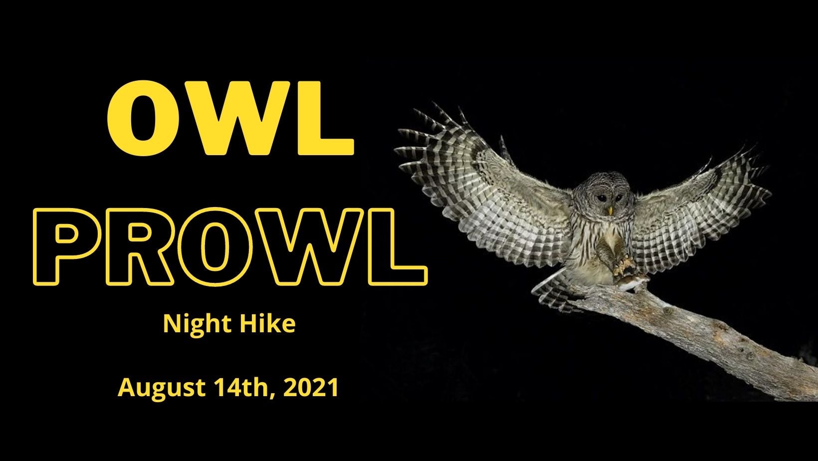 Owl Prowl Night Hike