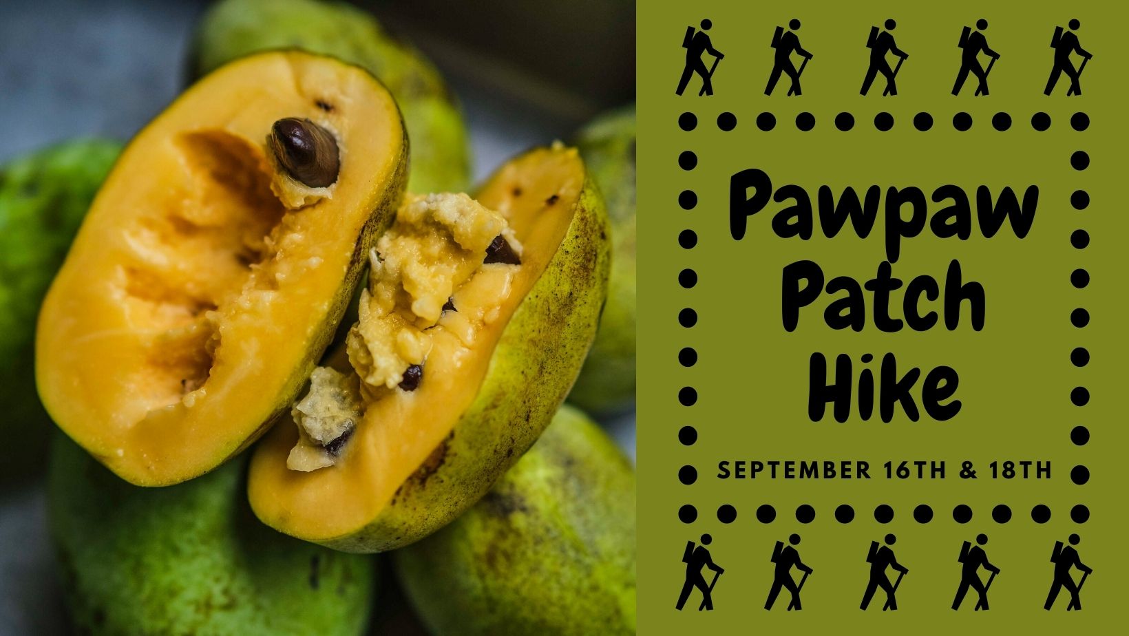 Pawpaw Patch Hike