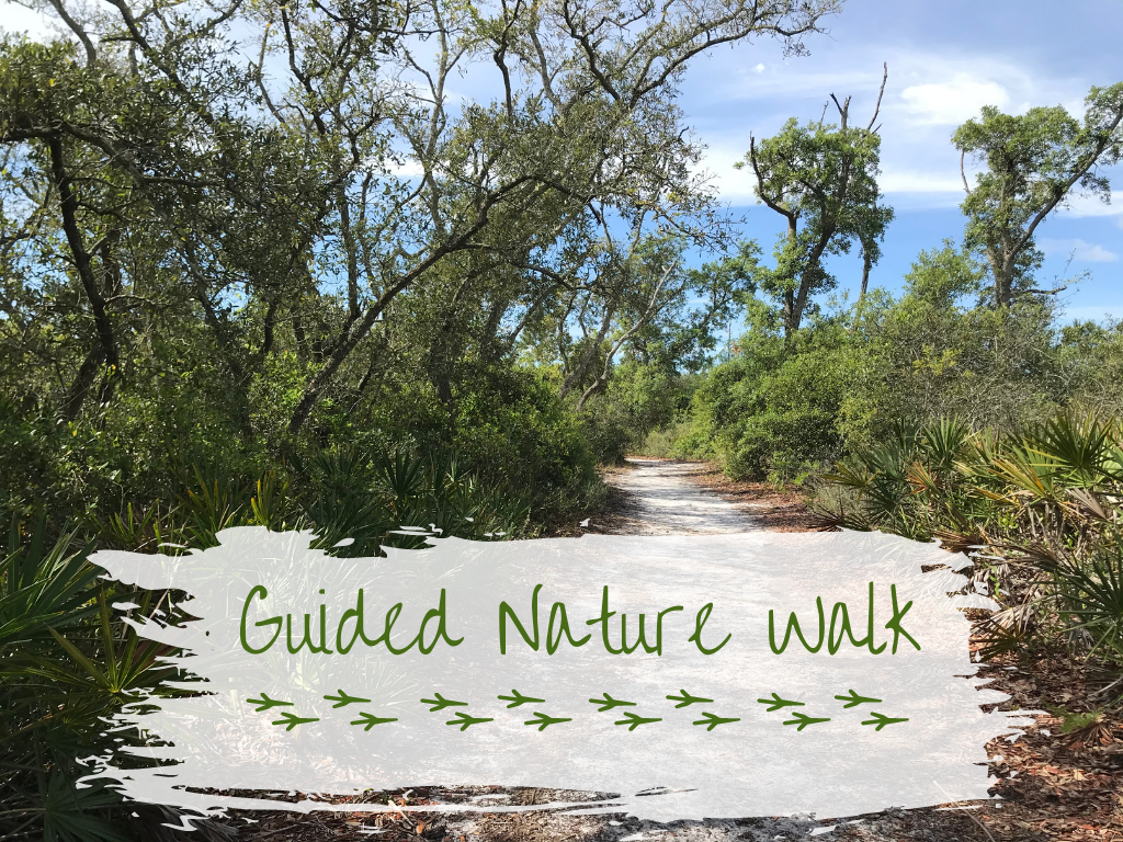 Guided Nature Walk Program at Gulf State Park