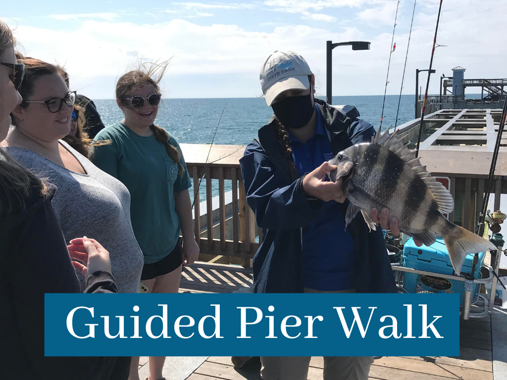 Guided Pier Walk Program at Gulf State Park