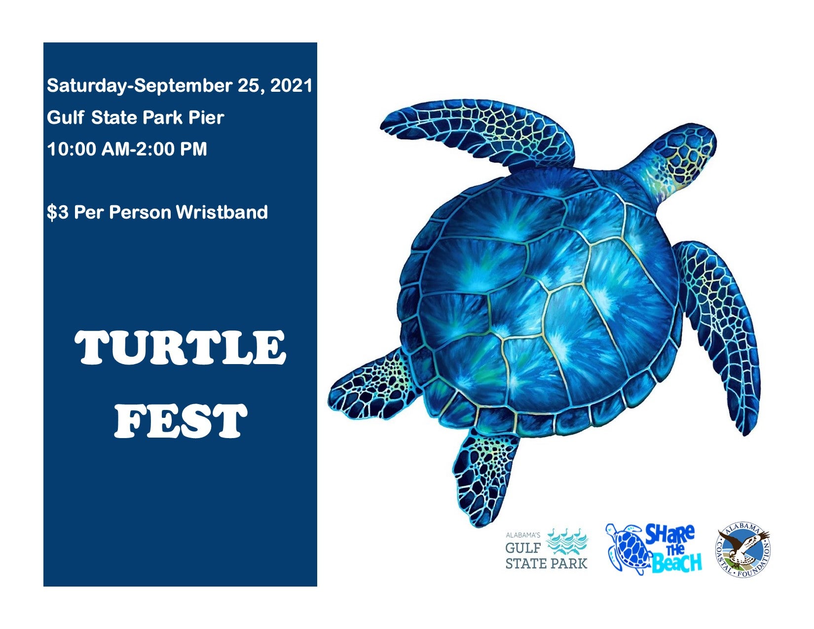 Turtle Fest Flyer
