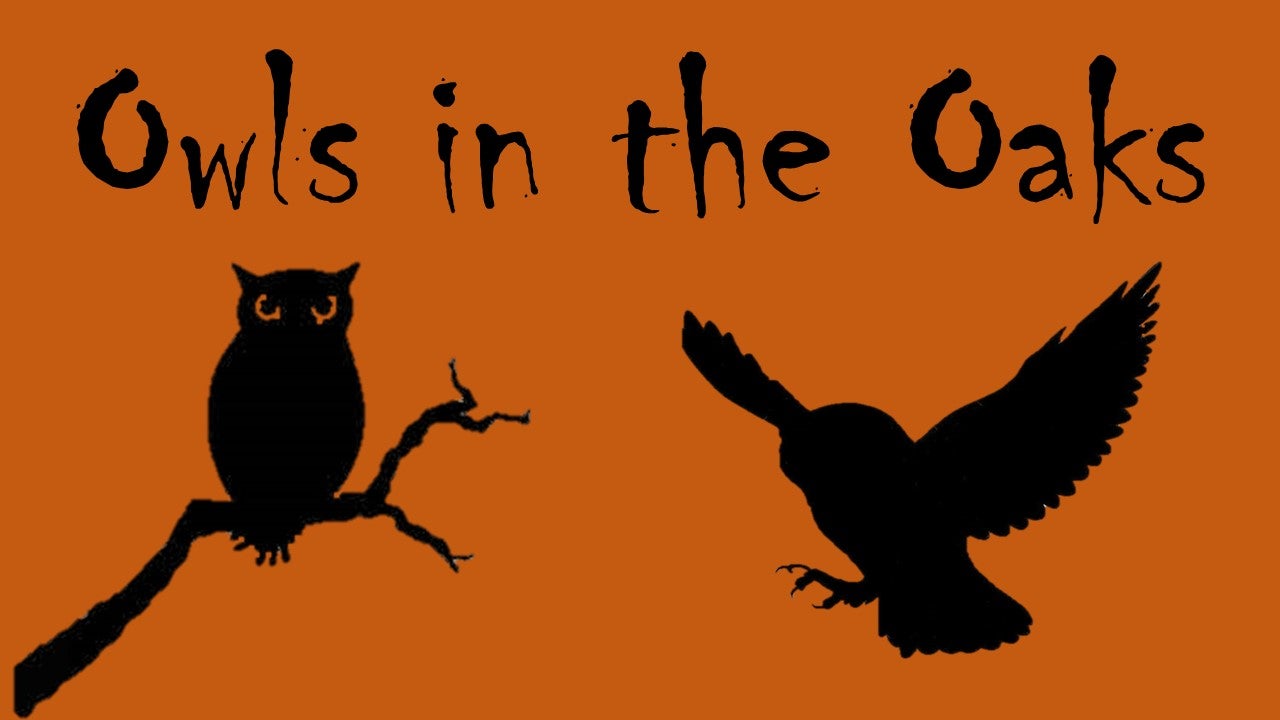 Owls in the Oaks